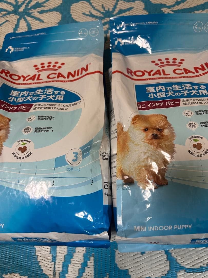  CANIN ミニインドアパピー 4kg 2個 ロイヤルカナン（ROYAL CANIN） ミニ インドア パピー 4kg×2 ジッパー